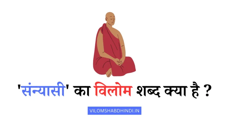 संन्यासी का विलोम शब्द क्या है – Sanyasi Ka Vilom Shabd Hindi Mein