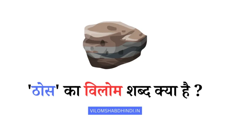 ठोस का विलोम शब्द क्या होगा – Thos Ka Vilom Shabd In Hindi