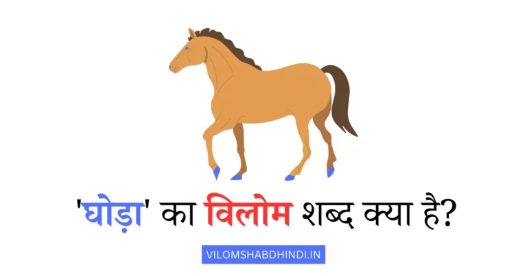घोड़ा का विलोम शब्द क्या है – Ghoda Ka Vilom Shabd Kya Hota Hai